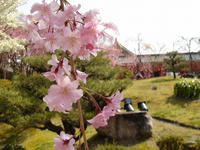 s-DSC05789.jpg