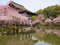 s-DSC05804.jpg