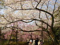 s-DSC05810.jpg