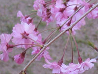 s-s-IMG_9050.jpg