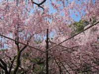 s-s-IMG_9075.jpg
