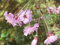 s-s-IMG_9080.jpg
