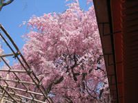 s-s-IMG_9083.jpg