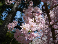 s-DSC05852.jpg