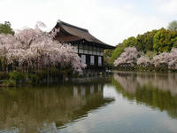 s-DSC05856.jpg