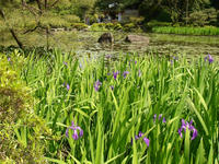 s-DSC05946.jpg