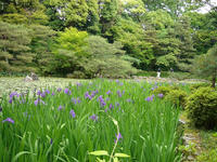 s-DSC06031.jpg