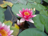 s-DSC06039.jpg