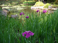 s-DSC06072.jpg