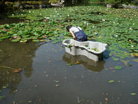 s-DSC06136.jpg