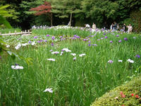 s-DSC06165.jpg