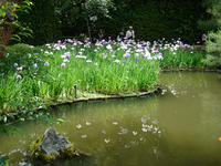 s-DSC06173.jpg