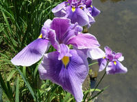 s-DSC06189.jpg