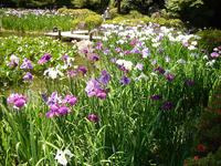 s-DSC06195.jpg