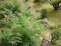 s-DSC06216.jpg