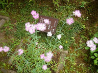 s-DSC06229.jpg