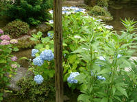 s-DSC06222.jpg