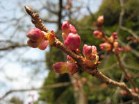 s-IMG_0042.jpg