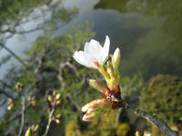 s-IMG_0047.jpg