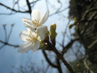 s-IMG_0048.jpg