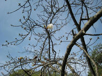 s-IMG_0049.jpg