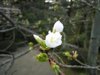 s-IMG_0003.jpg