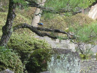 s-IMG_0012.jpg
