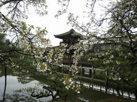 s-IMG_0007.jpg