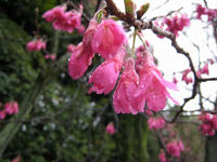 s-IMG_0017.jpg