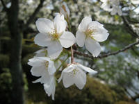 93ef4387.jpg