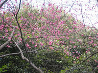s-IMG_0015.jpg