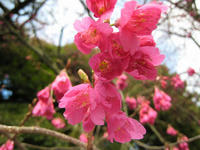 s-IMG_0019.jpg