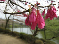 s-IMG_0013.jpg