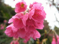 b8968b5d.jpg