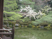 3b9566a9.jpg