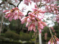 s-IMG_0016.jpg