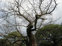 s-IMG_0037.jpg