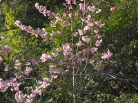 cf4e4069.jpg