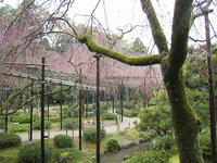 6619d059.jpg