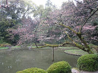 s-IMG_0018.jpg