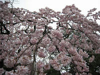 s-IMG_0075.jpg