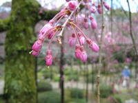 s-IMG_0079.jpg