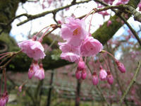 s-IMG_0080.jpg