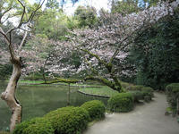 s-IMG_0083.jpg
