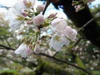 s-IMG_0085.jpg