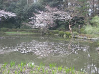 s-IMG_0076.jpg