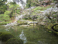 s-IMG_0086.jpg