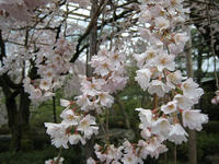 s-IMG_0111.jpg