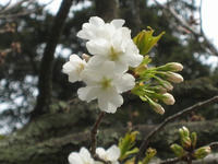 02f0858c.jpg