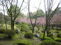 s-IMG_0027.jpg